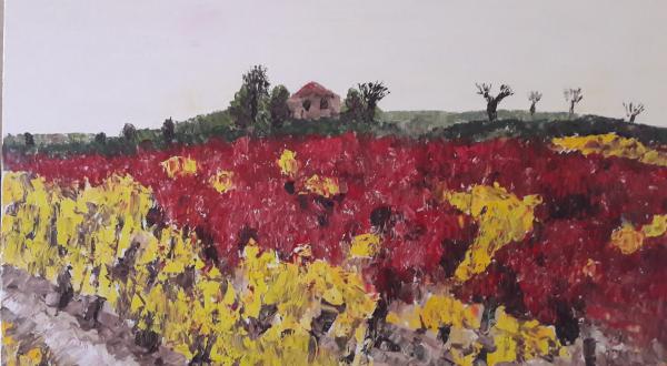 Vignes rouges et jaunes